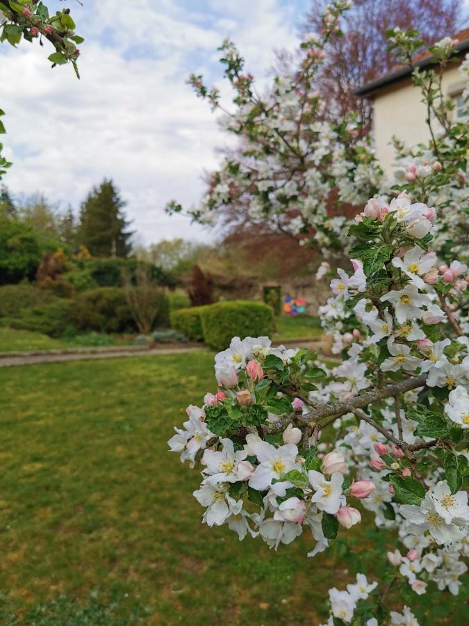Chambres D'Hotes La Tuilerie Blainville-sur-l'Eau Zewnętrze zdjęcie