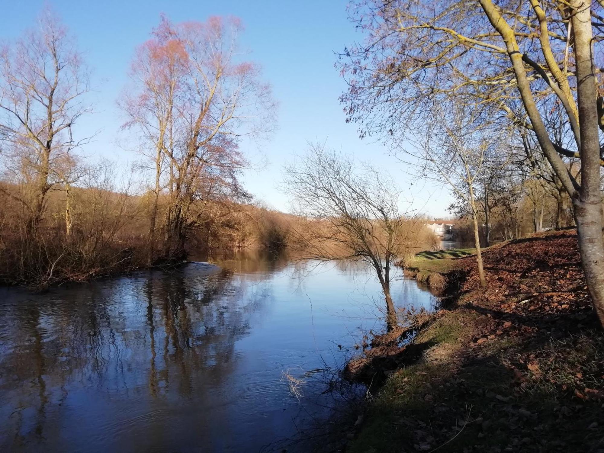 Chambres D'Hotes La Tuilerie Blainville-sur-l'Eau Zewnętrze zdjęcie